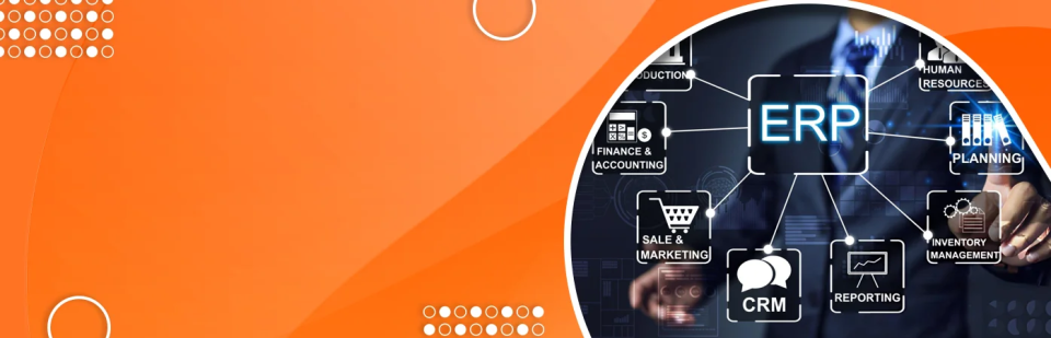 Which Criteria Define the Best ERP Software for Business Management